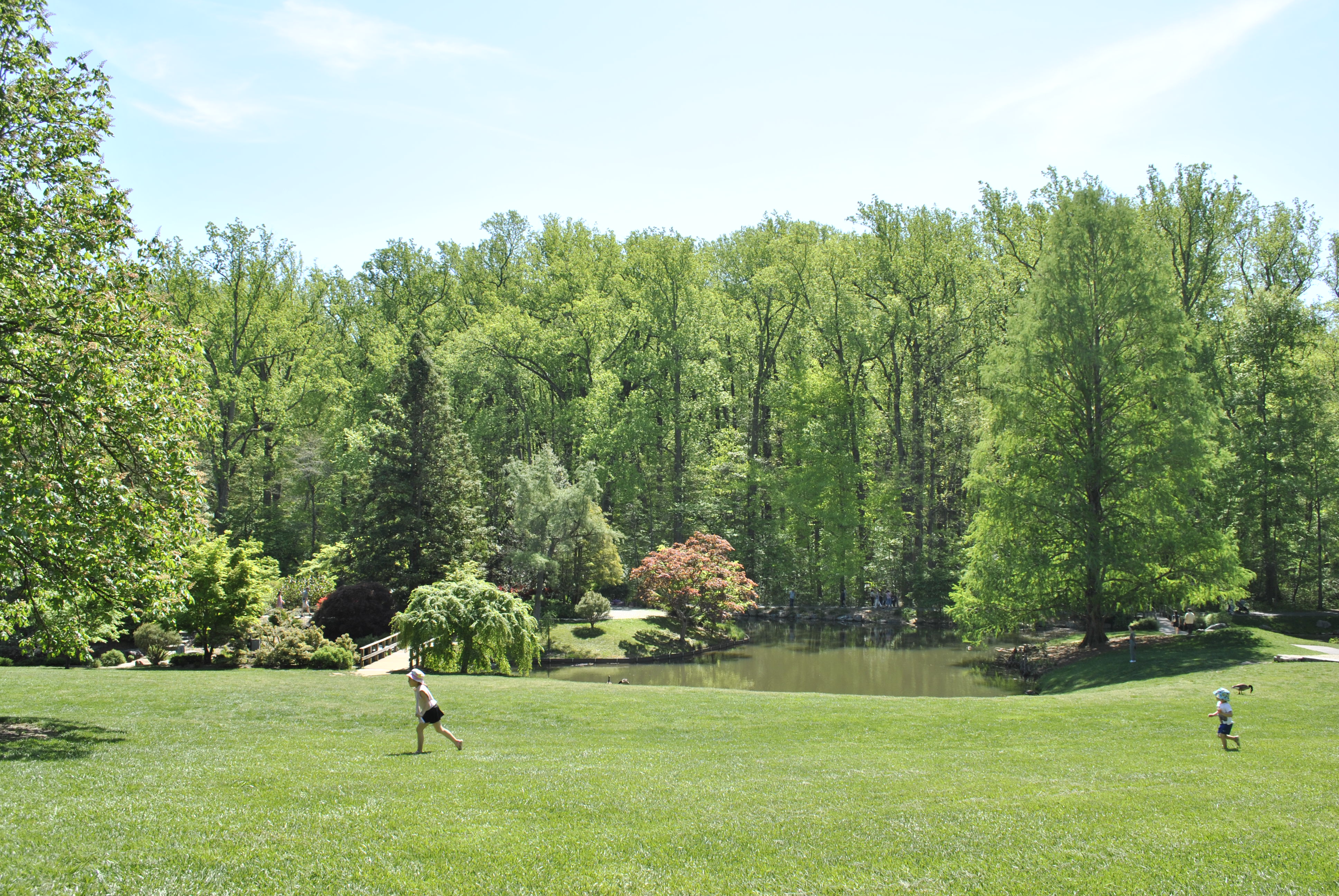 Brookside Gardens
